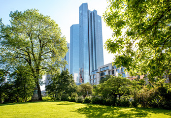 Wall Mural - View on the green park and skyscraper in Frankfurt city