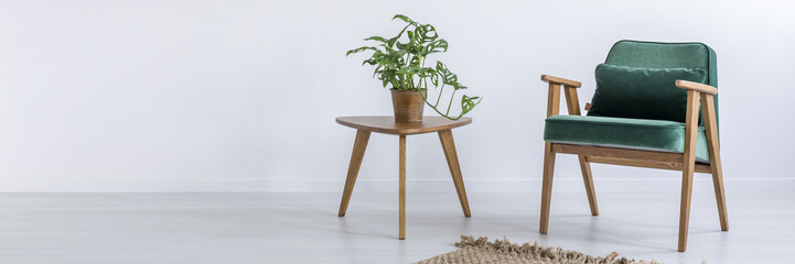 Chair and table with plant