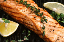 Grilled Salmon Closeup