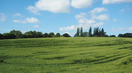 Poster - English country panorama