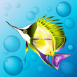 A vector yellow and nosy sea  fish from ocean for aquarium