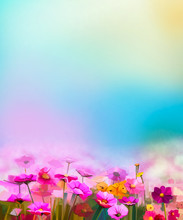 Abstract Colorful Oil Painting Red, Pink Cosmos Flower, Daisy, Wildflower In Field. Blurry  Wildflowers At Meadow With Soft Blue Sky. Spring, Summer Season Nature Background.