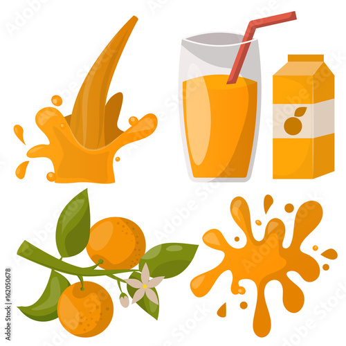 Ripe orange juice drink fruits realistic organic citrus dessert vector illust...