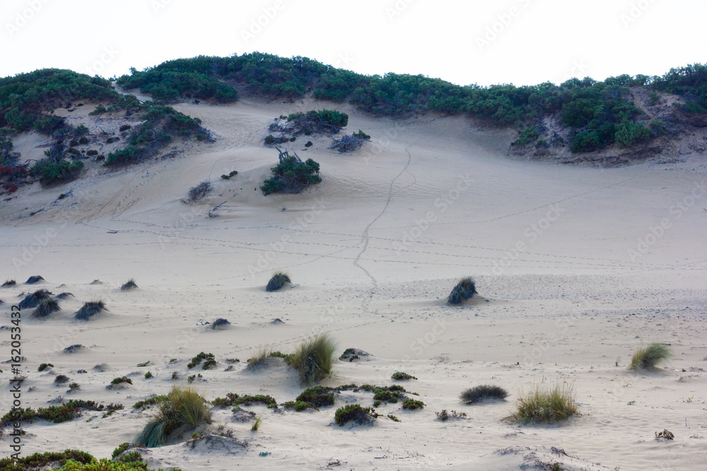 Fotografie Obraz Desertospiaggia Di Piscinas Dune
