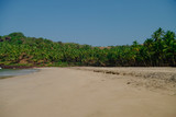 Fototapeta Morze - Hidden sand  beach with palms near Agonda beach, Goa state, India. No people