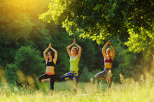 Girls Posing Yoga Outside In The Forest In The Morning