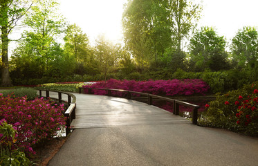 Sticker - Beautiful landscape in park