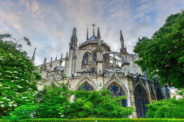 Canvas Print - Notre-Dame de Paris