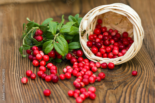 Stampe fresh ripe cranberries poured on wooden background from the basket