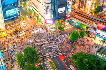 Wall Mural - Shibuya Crossing from top view in Tokyo