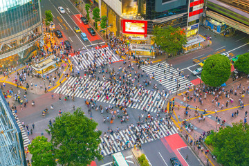 Wall Mural - Shibuya Crossing from top view in Tokyo