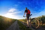 Fototapeta Lawenda - Rear view of the cyclist riding mountain bike on the trail against beautiful sky.