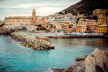 Nervi