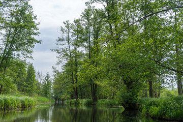 Wall Mural - River landscape for a kayak tour