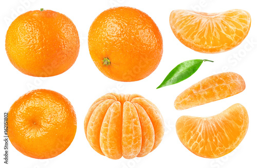 Dekoracja na wymiar  kolekcja-na-bialym-tle-owocow-cytrusowych-cale-mandarynki-lub-owoce-mandarynki-i-obrane-segmenty