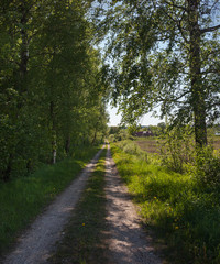 Poster - A long road to the house.