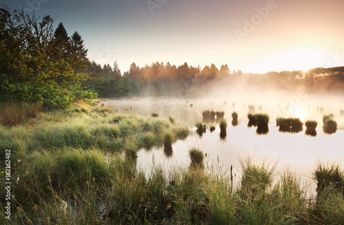 Fotografía summer sunrise over wild swamp