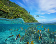 Over and under the sea near the shore of a lush wild coast with a school of tropical fish underwater split by waterline, Huahine island, Pacific ocean, French Polynesia