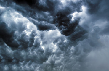 Wall Mural - Sky rain, wind and dramatic storm