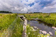 Wet Wildlife crossing culvert underpass with gangplank