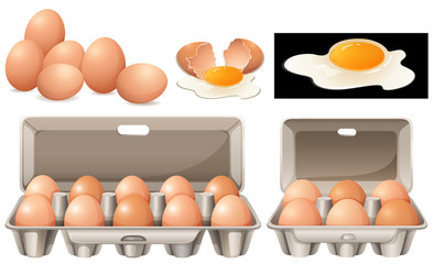 Canvas Print - Raw eggs in different packages