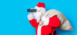 © Masson - Funny Santa Claus have a fun with binoculars