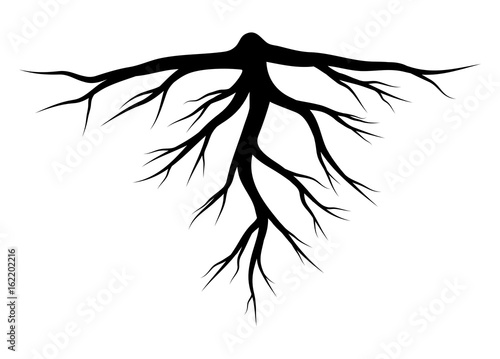 Fotomural root silhouette vector symbol icon design.