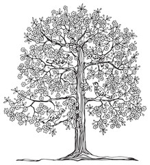 Hand drawn tree with birds