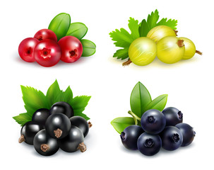 Wall Mural - Berry Clusters Realistic Set