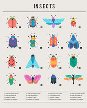 Bugs, Insects, Butterfly, Ladybug, Beetle, Swallowtail, Dragonfly Collection. Modern Set Of Icons, Symbols And Illustrations