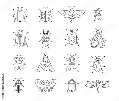 Bugs, insects, Butterfly, ladybug, beetle, swallowtail, dragonfly collection Tableau sur Toile