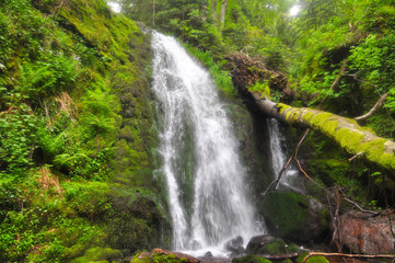 Beautiful waterfall in green forest in jungle. Jungle landscape with flowing red water of waterfall at deep tropical rain forest. National Park Old Mountain, Serbia