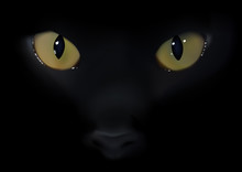 Black Cat Eyes - Animal Background Illustration, Detailed Vector