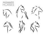 Fototapeta Konie - Set of hand drawn vector horses silhouettes