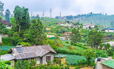 Poster - The farms of Nuwara Eliya