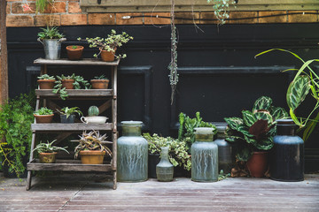 cactus garden decoration,old pottery in garden,gardening decoration element,green plant on pottery i
