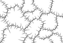 Studded Branches Seamless Pattern