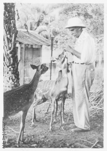 Fotografie, Obraz Schweitzer - Postcard 1956. Date: 1875 - 1965