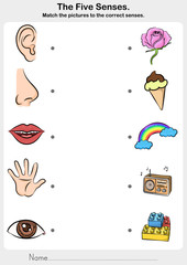 Wall Mural - five senses - touch, taste, hearing, sight, smell. - worksheet for education