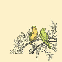 Beautiful Tropical Background With A Green Parrots.Two Parrots Sitting On The Branches Of A Tree. Vintage Style. Vector Illustration.