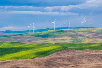 Palouse Wind Turbines. Amazing green hills. Steptoe Butte State Park, Eastern Washington, in the northwest United States.