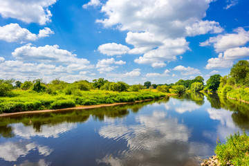 Poster - Landschaft mit Fluss und Bäumen im Sommer