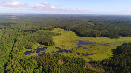 Wall Mural - Aerial view of the lake's in Masuria District, Poland