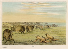 Catlin - Sioux As Wolves. Date: Circa 1830