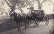 Private Carriage Photo. Date: circa 1890s