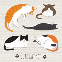 Cats Sleep Collection
