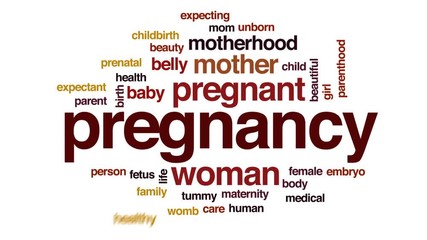 Wall Mural - Pregnancy animated word cloud, text design animation.