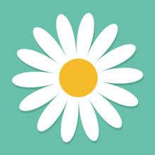 White Daisy Chamomile. Cute Flower Plant Collection. Love Card. Camomile Icon Growing Concept. Flat Design. Green Background. Isolated.