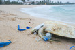 © nevodka.com - Dead sea turtle among plastic garbage on the beach sand