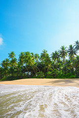 Wall Mural - Beautiful beach on tropical island with lush green coconut palm trees and clean sand at clear sunny summer day